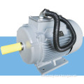 Yx3 Series High-Efficiency Induction Motor (H80-355)